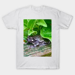 Black Tree Frog T-Shirt